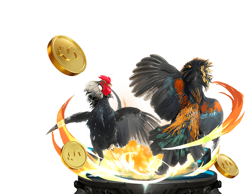 Công bằng và minh bạch VVVWIN